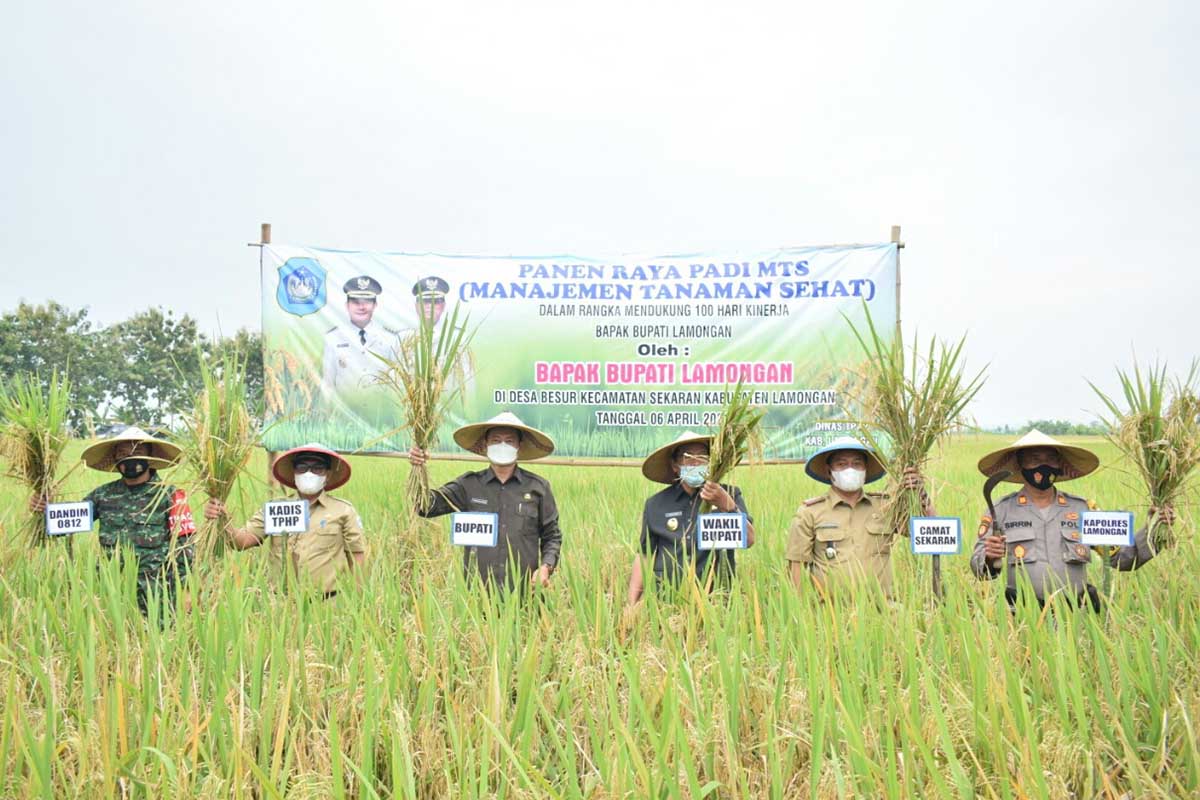 Panen Raya MTS Pasbesur di Sekaran, Bupati YES Mendorong Sertifikasi Beras Standar Nasional