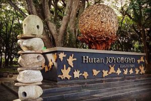 RTH Hutan Joyoboyo di Kota Kediri - DLHKP Kota Kediri Rutin Lakukan Pemeliharaan RTH