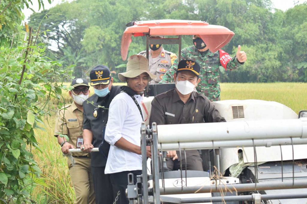 Panen Raya MTS Pasbesur di Sekaran, Bupati YES Mendorong Sertifikasi Beras Standar Nasional