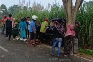 Kejadian TKP laka lantas mobil pick up tabrak pohon. (ist) - MD Laka Tunggal L-300 Poncokusumo Jadi Delapan Korban