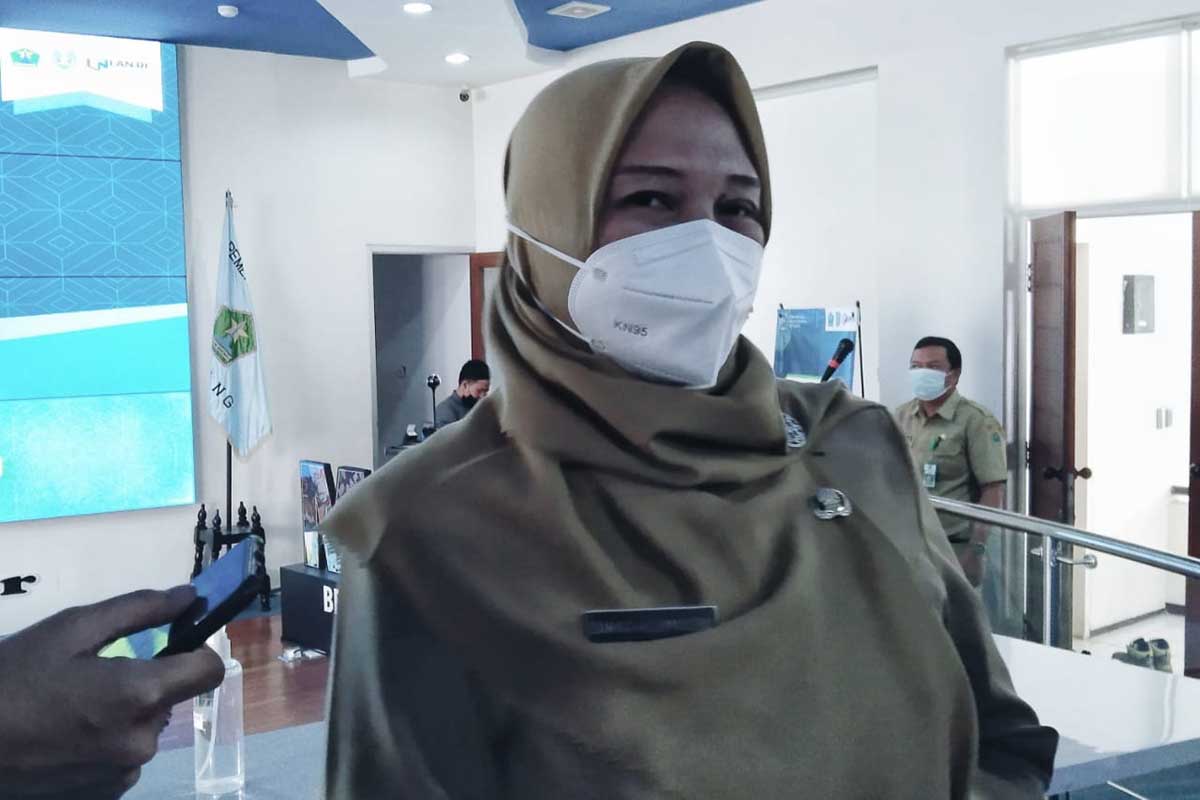 Asisten II Perekonomian dan Pembangunan Sekretariat Daerah Kota Malang, Diah Ayu Kusumadewi. (jaz) - Begini Penjelasan Aplikasi Si Melon Ijo