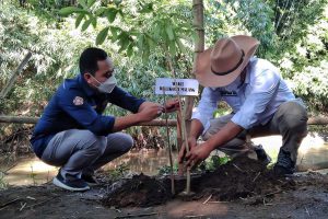 Bung Edi melakukan penanaman pohon pule di bantaran Sungai Madyopuro. (jaz) - Bung Edi Ajak Perbaiki Lingkungan Sekitar Sungai Madyopuro