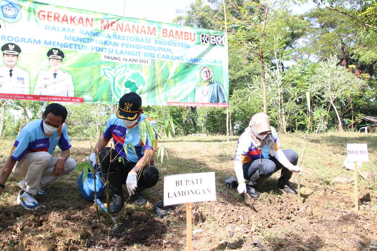 Bupati YES Tanam Ribuan Bambu, Gerakan Tanam Pohon Mengetuk Pintu Langit
