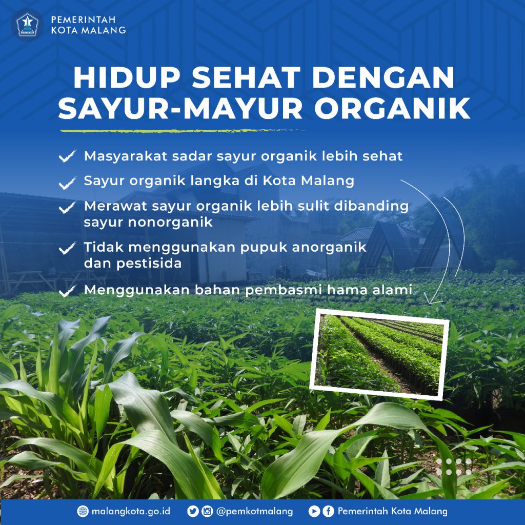 img 20210612 wa0057