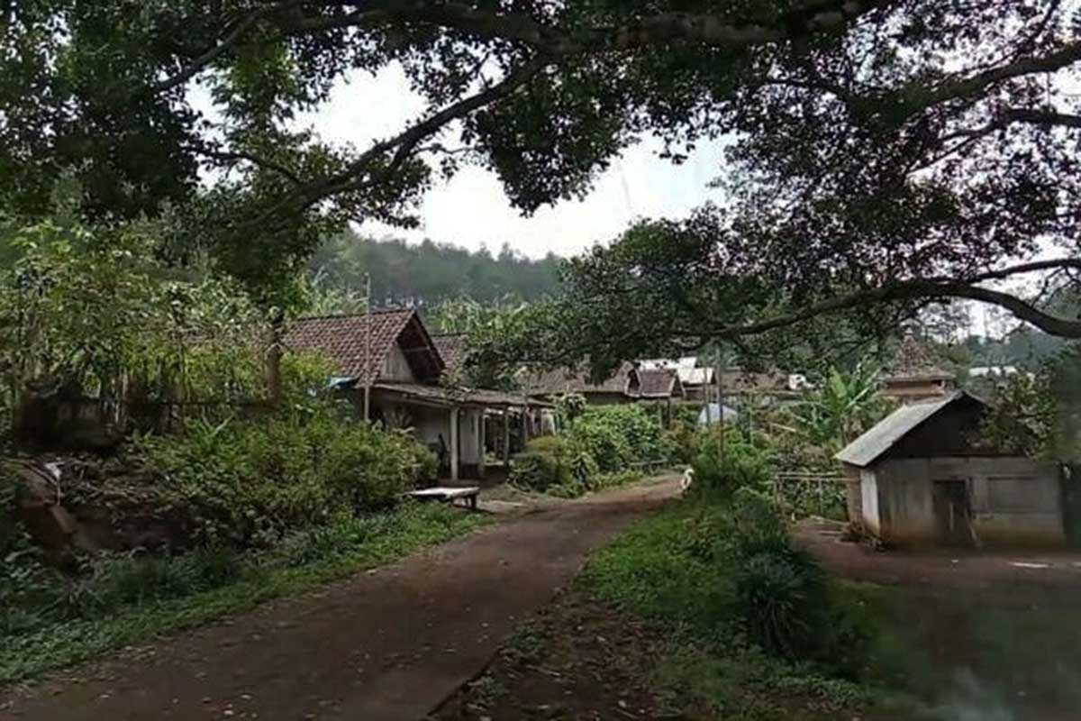 Kawasan kaki Gunung Arjuno, Jawa Timur. (ist) - Terima Hibah dari Australia, UB Kembangkan Hutan Pendidikan
