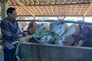 Kepala Kantor Perwakilan BI Malang, Azka Subhan Aminurridho. (ist) - BI Malang Dukung Pembiakan Sapi Potong di Kabupaten Malang