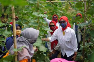 Ketua TP PKK Kota Malang mengapresiasi salah satu kawasan urban farming di sudut Kota Malang. (ist) - Kota Malang Galakkan Urban Farming Hingga RT/RW