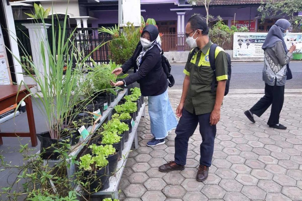 Memanfaatkan lahan sempit terbuka hijau untuk urban farming. (ist) - Kota Malang Galakkan Urban Farming Hingga RT/RW