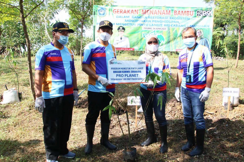Bupati YES Tanam Ribuan Bambu, Gerakan Tanam Pohon Mengetuk Pintu Langit