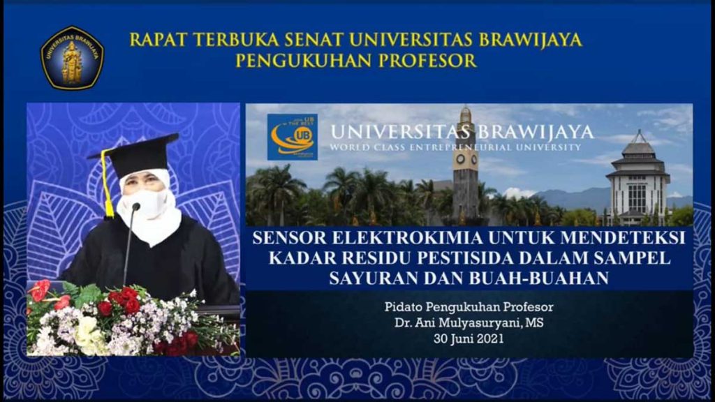 Prof Dr Ani Mulyasuryani, MS, saat memaparkan pidato pengukuhan Profesor. (ist) - UB Kukuhkan Duo Srikandi Profesor - Bidang Ilmu Kimia Analitik dan Ilmu Ekologi Tanaman