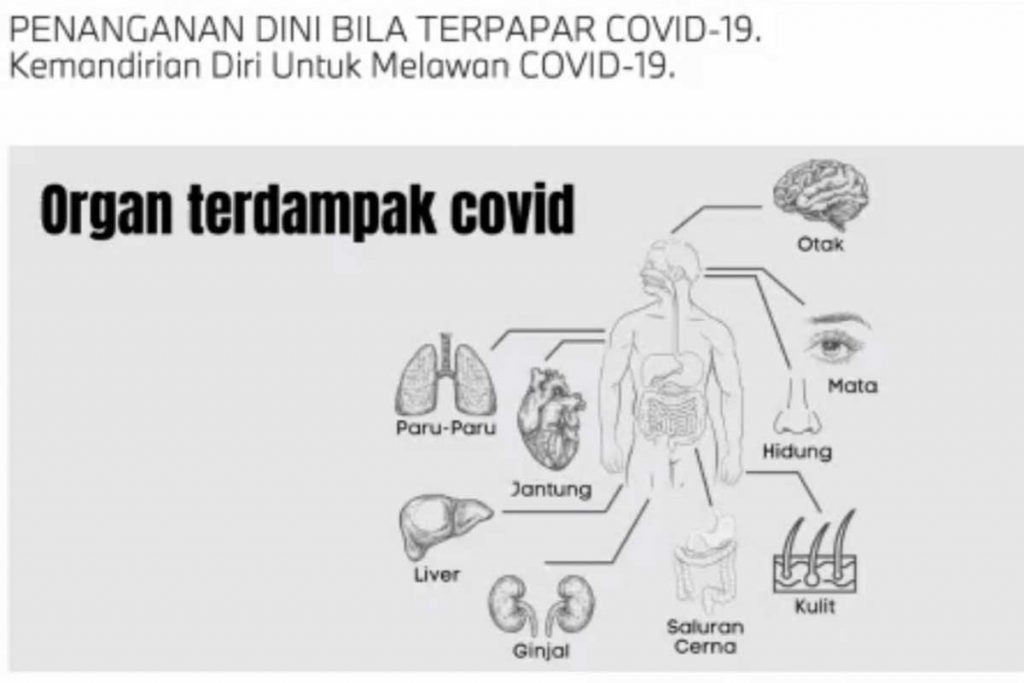 Bagian tubuh yang diserang oleh covid-19. (rhd) - Tiga Langkah Pencegahan dan Penanganan Dini Terpapar Covid-19 - Bentuk tanggung jawab BMW Astra dalam perang melawan covid-19
