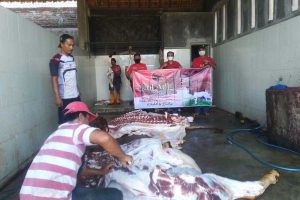 Ketua Penyembelihan Hewan Kurban PDI Penjuangan Kabupaten Banyuwangi, Heksa saat menyaksikan pemotongan hewan kurban. (ras) - PDI Perjuangan Banyuwangi Sembelih 6 Hewan Kurban