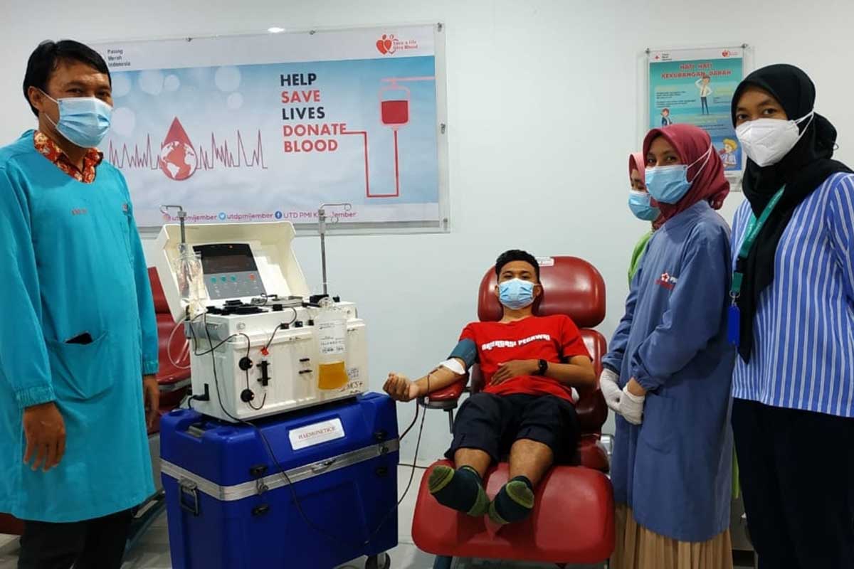 Pelaksanaan donor plasma konvalesen di UDD Patrang Kabupaten Jember. (ist) - PMI Jember Siap Layani Permintaan Plasma Konvalesen