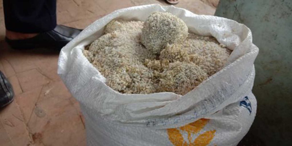 Bansos beras mirip batu. (ist) - Muhadjir Sebut Bansos Beras Baru di Pandeglang Akibat Kehujanan
