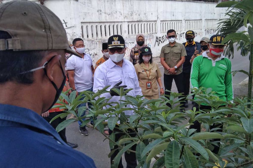 Bung Edi melihat pohon pule yang sudah berusia delapan bulan. (jaz) - Bung Edi Kembali Tanam Pohon Pule di Perumda Aneka Usaha