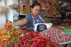 Cabe rawit dan bawang merah sumbang inflasi. (ist) - Cabe Rawit dan Bawang Merah Sumbang Inflasi Kota Malang 0,11 Persen