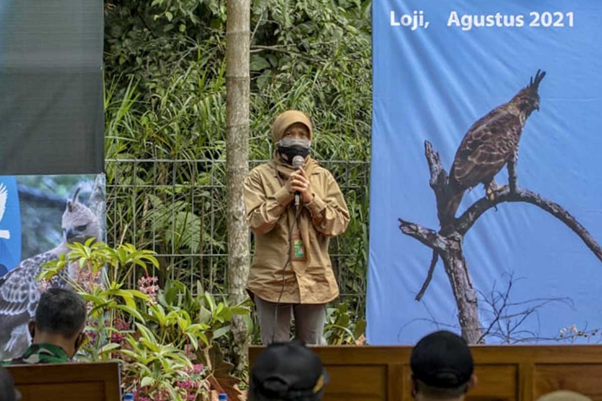 Plt TNBTS, Novita Kusuma Wardani, memberikan keterangan di pelepasliaran elang. (ist) - TNBTS Lepasliar Satwa Elang Jawa dan Elang Ular Bido
