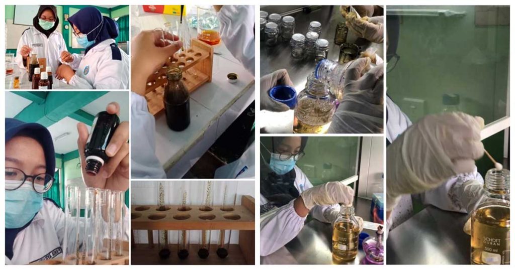 Ujicoba ekstraksi maserasi dan distilasi untuk memperoleh ekstrak murni daun pulai. (ist) - Ekstrak Daun Pulai Solusi Pengganti Bahan Alami Disinfektan Semprot Covid-19