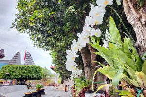 Deretan bunga anggrek Bulan mempercantik area Makam Bung Karno - Makam Bung Karno Dipercantik Deretan Anggrek Bulan
