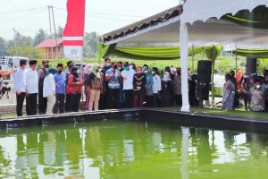 Menteri Desa, Pembangunan Daerah Tertinggal, dan Transmigrasi Abdul Halim Iskandar meresmikan Internet Of Things (IOT) untuk budidaya Ikan Koi di Desa Kemloko Kecamatan Nglegok Kabupaten Blitar - Warga Blitar Budidaya Koi Pakai Sistem Internet - Satu-satunya di Indonesia