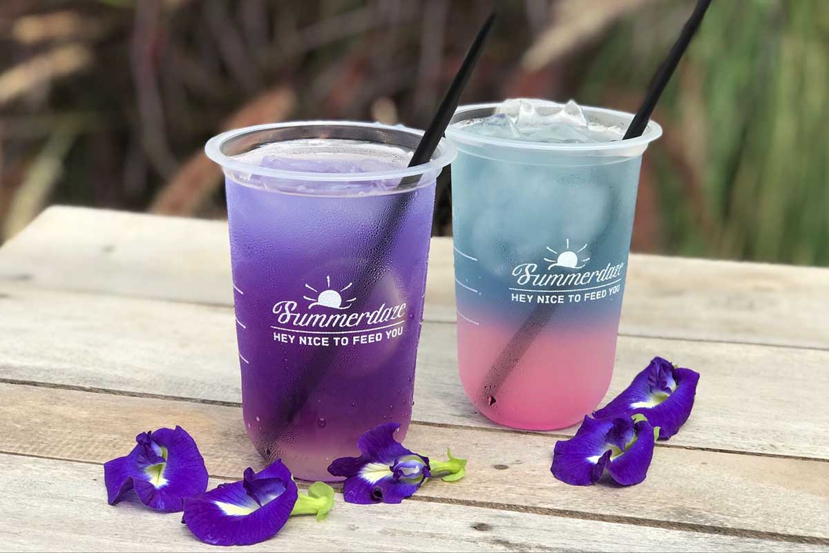 Minuman bunga telang. (ws3) - Khasiat Minuman Warna-warni Bunga Telang