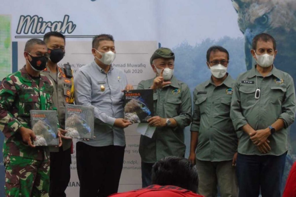 Pelepasliaran secara simbolis Elang Jawa oleh TNBTS. (ist) - Lagi, TNBTS Lepasliarkan Elang Jawa 'Mirah'