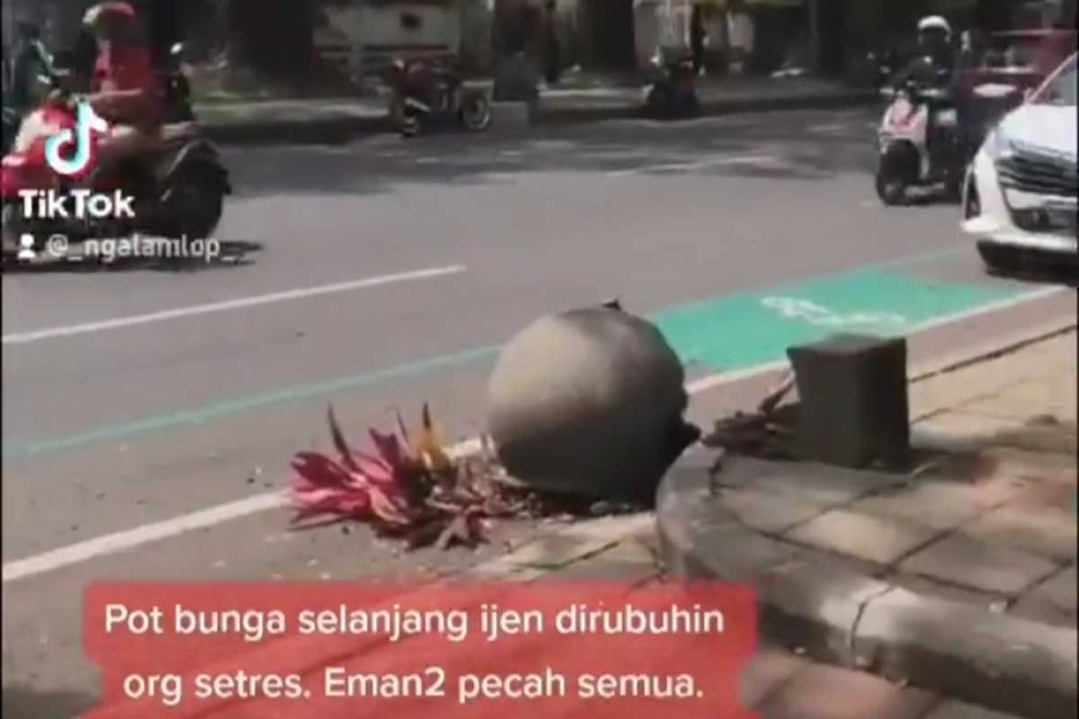 Tangkapan layar pot yang telah digulingkan ODGJ. (ist) - Pot Ijen Dirusak ODGJ, Kadis DLH: Tidak Bisa Disalahkan