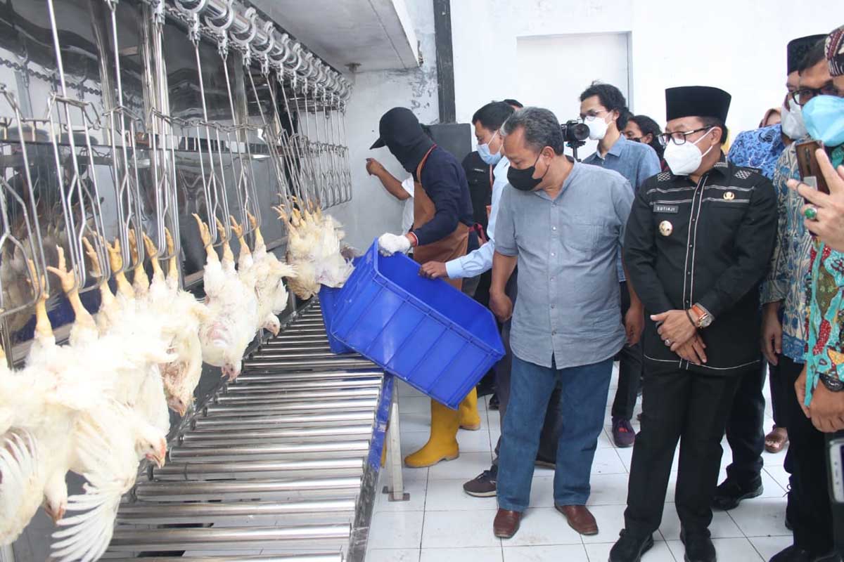 Walikota Malang meninjau lokasi pemotongan hewan unggas. (ist) - Rumah Potong Unggas dan Sentra Perkulakan UMKM Perumda Tunas Diresmikan