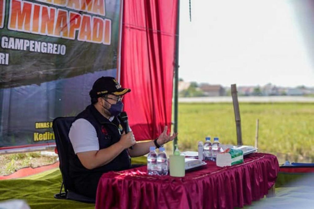 Bupati Kediri, Hanindhito Himawan Pramana di acara Panen Perdana Program Percontohan Mina Padi di Kecamatan Gampengrejo, pada Rabu (03/11/2021) - Bupati Kediri Targetkan Tiap Kecamatan Punya Program Mina Padi