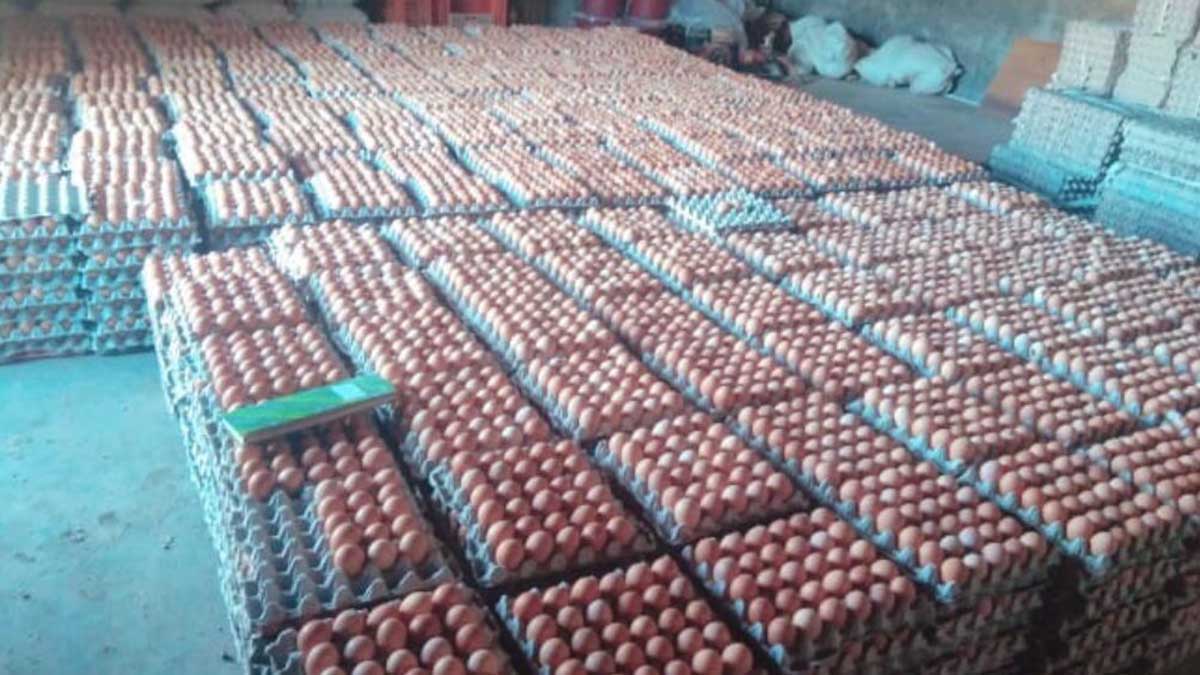 Ilustrasi telur ayam siap jual. (jaz) - Harga Telur Merangkak Naik