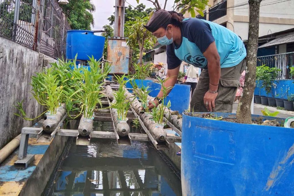 Ketua Kampung Tematik GWS, Ageng Wijaya Kusuma menunjukkan hasil tanaman kangkung. (jaz) - Festival Kampung GWS Usung Ketahanan Pangan Perkotaan