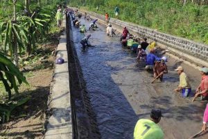Masuki Musim Penghujan, DPU Pengairan Banyuwangi Lakukan Normalisasi Sungai