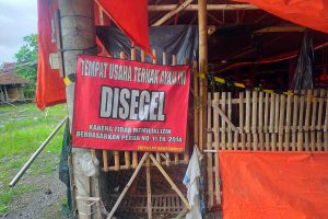 Peternakan Ditutup Sepihak Oleh Satpol-PP, Susilo Akan Menempuh Jalur Hukum