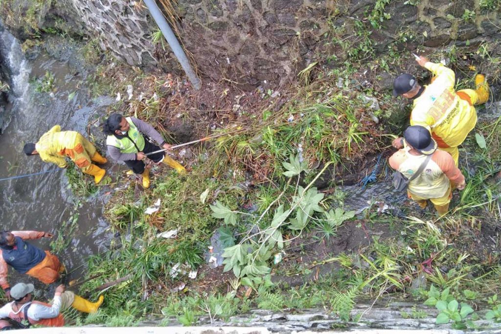 Tumbuhan liar dari sedimen diduga menjadi salah satu penyebab sumbatan aliran sungai. (jaz) - Begini Penyebab Banjir di Kelurahan Bareng