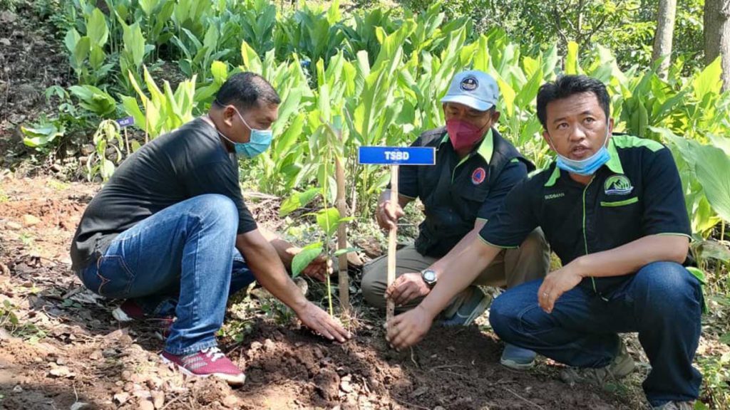 Aksi tanam di Embung Magersari ini masih dalam rangkaian peringatan hari menanam pohon Indonesia (HMPI) yang jatuh setiap tanggal 28 November - Wilis Lestari Hijaukan Embung Magersari di Lereng Wilis