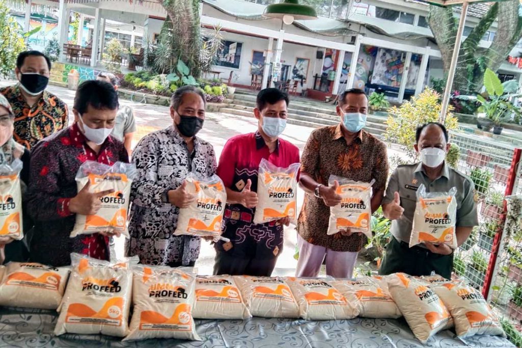 Salah satu produk yang dilihat oleh pihak kampus dan perwakilan kementrian pangan. (jaz) - Dosen UMM Ciptakan Pakan Pedet Dari Limbah Keju