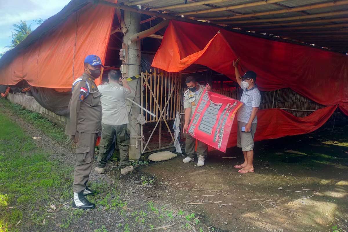 Segel Penutupan peternakan Dibuka, Pemilik Tetap Adukan Oknum Satpol PP dan Oknum Kades Ke Penegak Hukum