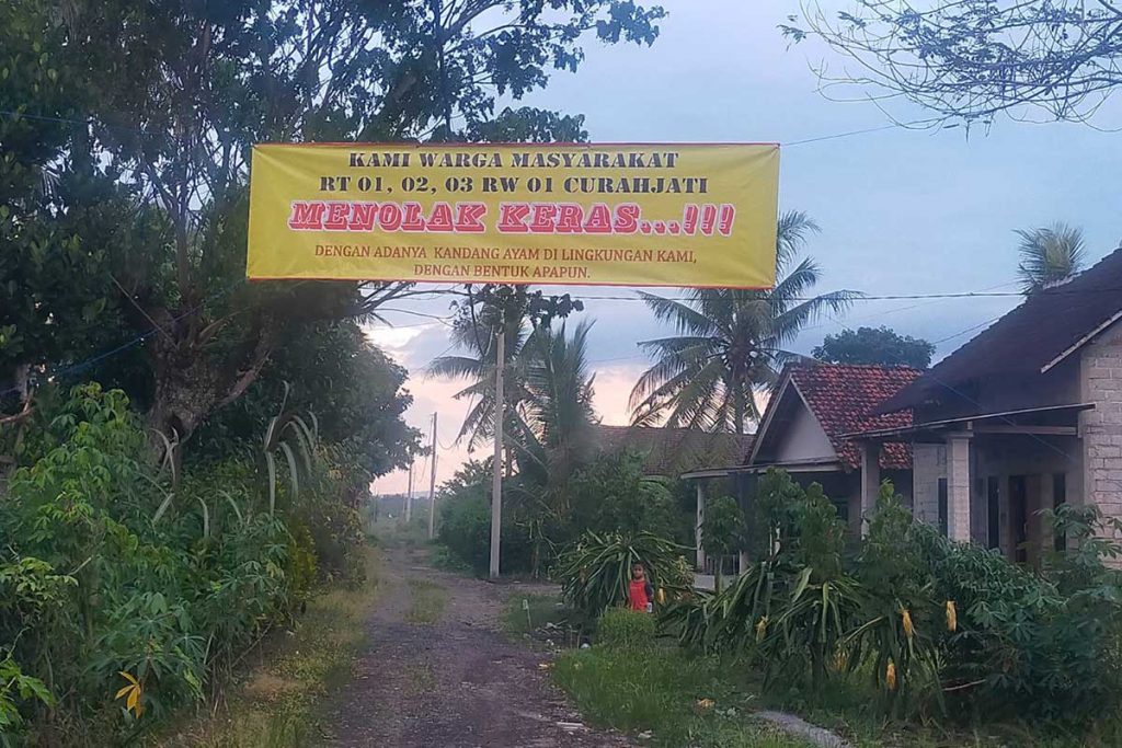 Susilo Laporkan Dalang Pemasangan Spanduk Penolakan Aktivitas Peternakan 1 Spanduk bertuliskan 'Penolakan Keras' mengatasnamakan masyarakat RT 01, 02 dan 03 Dusun Curahjati. (Foto: Kuryanto) - Susilo Laporkan Dalang Pemasangan Spanduk Penolakan Aktivitas Peternakan