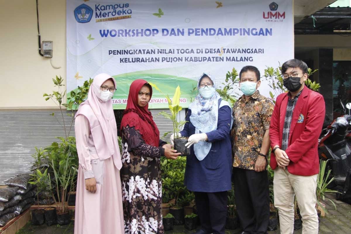 Tim Pengabdian MBKM UMM pendampingan peningkatan nilai toga di Desa Tawangsari, Kecamatan Pujon, Kabupaten Malang. (ist) - Tim Pengabdian MBKM UMM Inisiasi Desa Tawangsari Pujon Tingkatkan Nilai Tanaman Toga