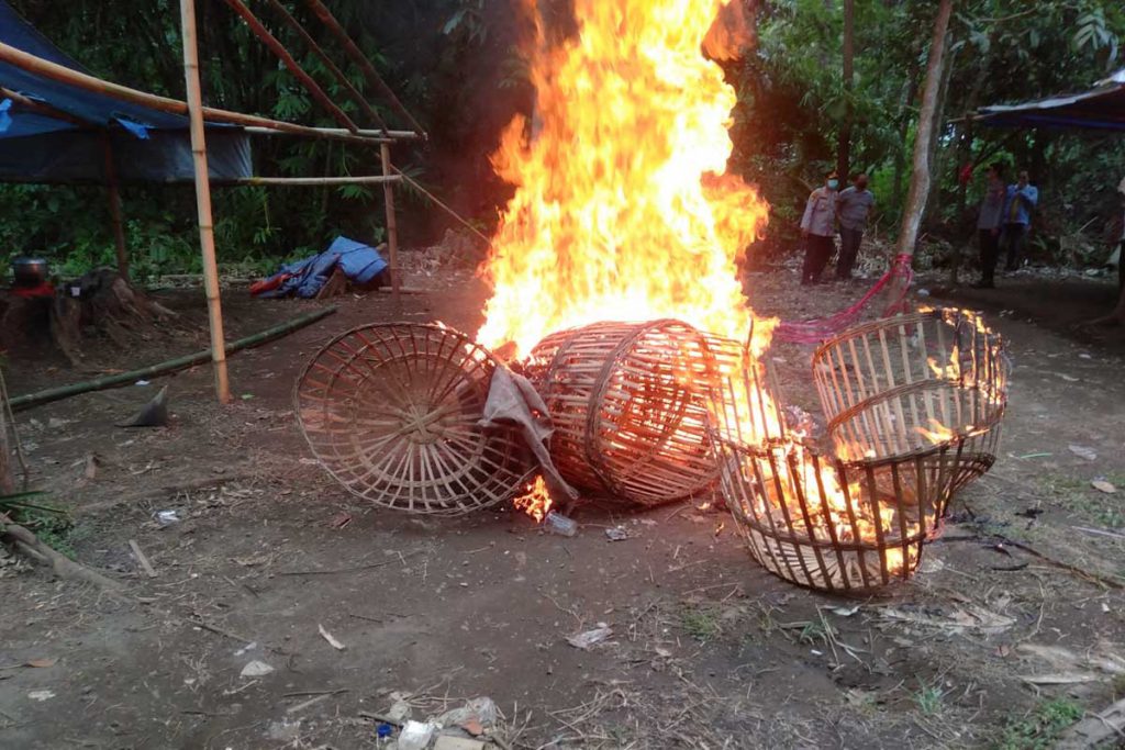 Anggota Polsek Rogojampi ketika membakar sarana judi sabung ayam di Desa Mangir, Kecamatan Rogojampi, Senin (17/1/2022) siang - Penggerebekan Sabung Ayam Di Rogojampi Diduga Bocor, Polisi Bakar Sarana Perjudian
