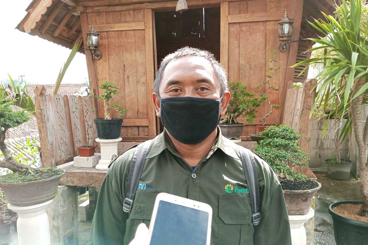 Asisten Perhutani Eko Ali Ismail. (ws3) - Katapel, Cara Efektif Perhutani untuk Reboisasi di Kawasan Sulit Terjangkau