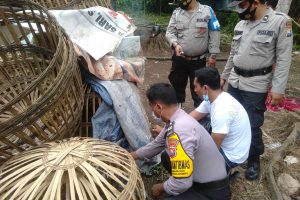 Penggerebekan Sabung Ayam Di Rogojampi Diduga Bocor, Polisi Bakar Sarana Perjudian