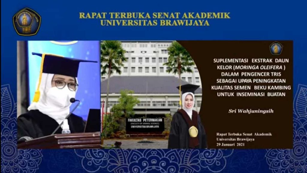 Prof Dr Ir Sri Wahjuningsih, MSi, saat pidato pengukuhan. (rhd) - Awal Tahun 2022, Universitas Brawijaya Kukuhkan Dua Profesor Baru