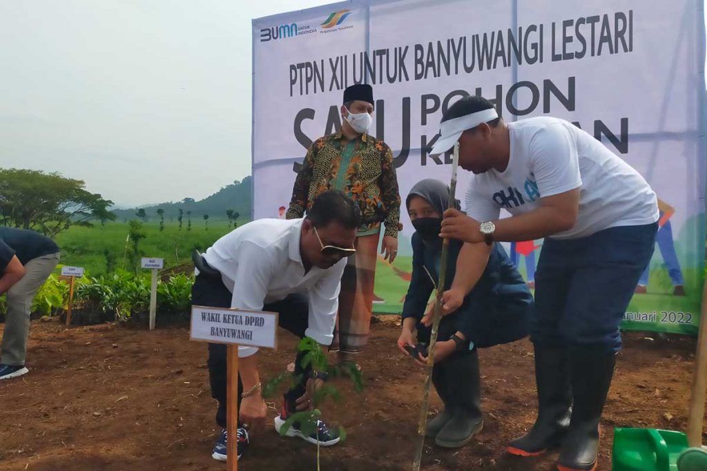 Wakil Ketua DPRD Ruliyono bersama manager Kebun Kendenglembu, Benny Hendricrianto saat menanam pohon di area Afedeling Rejosari, Kebun Kendenglembu, Kecamatan Glenmore. (Foto: Kuryanto) - PTPN XII Untuk Banyuwangi Rebound Satu Pohon Sejuta Kebaikan
