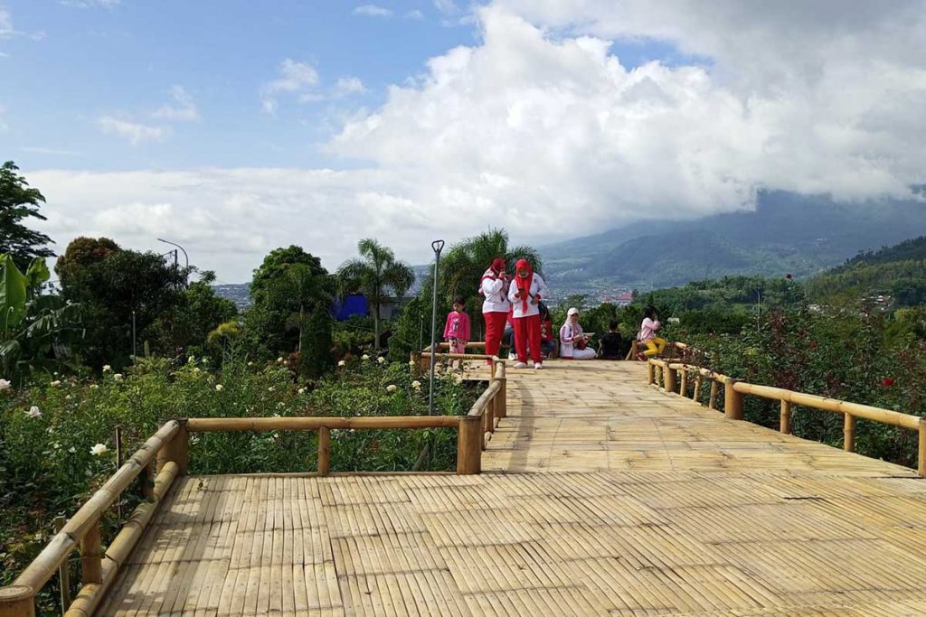 Hamparan kebun mawar milik Nur Azis, dijadikan tempat wisata. (ws3) - Bali dan Jakarta Jadi Pasar Terbesar Mawar Kota Batu