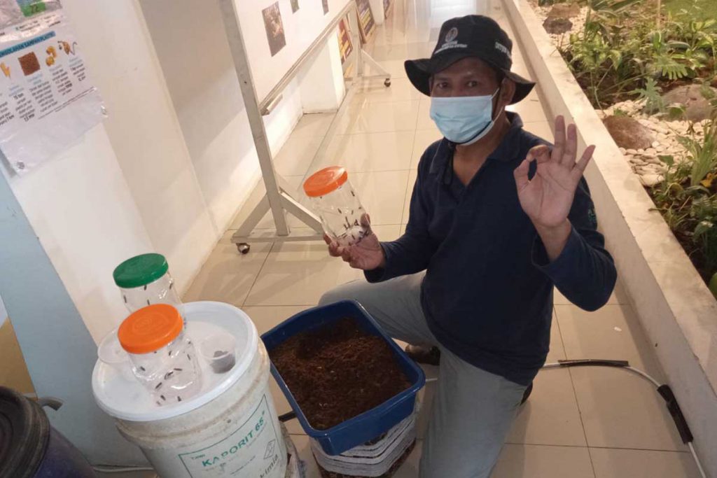 Ketua kader lingkungan Kelurahan Cemorokandang, Yusuf Karyawan saat menunjukkan lalat, Maggot dan fermentasi sampah organik. (ws4) - Budidaya Maggot, Jadi Solusi Pengurai Sampah Organik