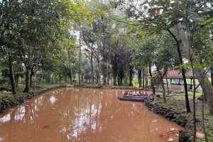 Kolam di Wisata Sumber Krabyakan tercampur lumpur akibat longsor. (ws5) - Akibat Tertimbun Longsor, Wisata Sumber Krabyakan Lawang Tutup Sementara