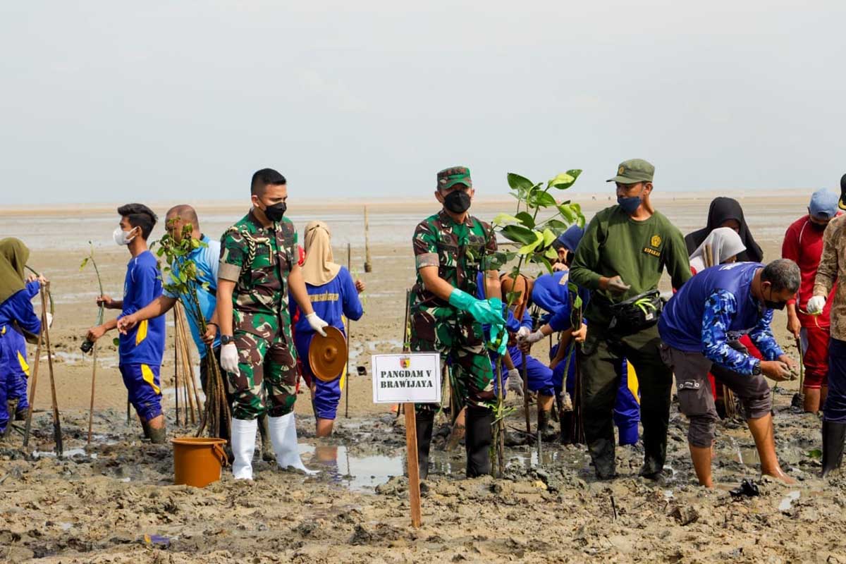 Pangdam V/Brawijaya Pimpin Penanaman Mangrove Di Kabupaten Bangkalan