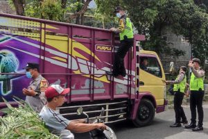 Anggota Polsek Ngantang memberlakukan pembatasan Lalu lintas ternak. (ist) - Cegah Wabah PMK, Polres Batu Batasi Lalu Lintas Hewan Ternak