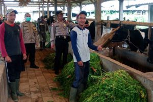 Bhabinkamtibmas Desa Tulungrejo meninjau Kandang komunal milik peternak. (ist) - Polres Batu Terjunkan Bhabinkamtibmas untuk Monitoring Peternakan Warga